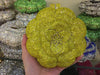 Floral Rhinestone Minaudiere Evening Clutch Rose Crystal Bridal Wedding Party Bag