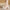 Women’s Pointed Toe Slingback Sandals – Square Mid Heel 5-8 cm (2.0-3.1 in), PU Platform Ankle Strap