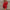 Women's Ribbed Knit Long-Sleeve Sweater Dress – Slim Fit Round Neck, Above-Knee