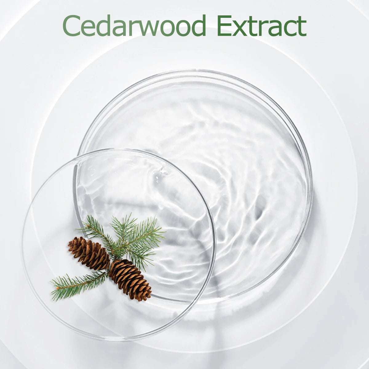 Cedarwood Essential Oil for Diffusers & DIY Aromatherapy, Warm Woody Scent for Home and Skincare