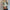 Women's Casual Long Sleeve Blouse Turn-Down Collar Spring/Summer Top