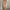Women's High-Waist Bodycon Midi Dress Off-Shoulder Vintage Bling Satin Party Dress with Front Split