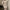 White Thick Knit Hooded Mini Dress - Korean Elastic High-Waist Bandage Long Sleeve Slim Fit