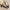 Women’s Pointed Toe Slingback Sandals – Square Mid Heel 5-8 cm (2.0-3.1 in), PU Platform Ankle Strap