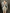 High-Stretch A-Line Summer Dress for Women — Long Sleeve Elegant Evening & Party Dress