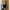 Off-Shoulder Cropped Knit Pullover for Women — Slim Long Sleeve Side-Slit Sweater, Autumn/Winter