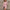 Women's Ribbed Knit Long-Sleeve Sweater Dress – Slim Fit Round Neck, Above-Knee