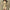 V-Neck Knit Sweater Dress — Long Sleeve Autumn/Winter Bodycon Mini, One Size, Solid Colors (Gray/Black/Apricot)