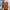 Women's Mink Cashmere V-Neck Sweater Padded Knit Lantern Sleeve Pullover – Autumn Winter