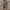 Women's Ribbed Knit Long-Sleeve Sweater Dress – Slim Fit Round Neck, Above-Knee