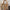 Women's Retro Floral PU Leather Handheld Tote Bag – Large Capacity Casual Tote