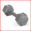 Cast Iron 12 lb (5.4 kg) Hex Dumbbell - Home Gym Strength Training Single-Hand Weight for Men & Women