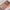 12-Color All-Matte Eyeshadow Palette — Neutral Tea & Apricot Tones, Long-Lasting Waterproof