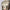 Women's Slim Turtleneck Pullover Sweater Warm Autumn Winter Korean Casual Knitwear