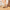 Women's Cow Suede Loafers — Square Toe Lace-Up Flats, Soft Sole Office & Casual Shoes, Sizes US 5–10.5 (22–27 cm / 8.66–10.63 in)