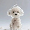 Resin Pet Memorial Keychain Hair Capsule Pendant – Cat & Dog Keepsake