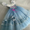 Giselle Long Romantic Ballet Dress – Custom Tulle Tutu for Women & Girls, Royal Blue Gradient
