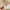 Vintage Lattice Print Wide Sponge Elastic Headband for Women & Girls - Fashion Hair Hoop