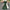 V-Neck Dolman Sleeve Polka Dot High-Waist Wide-Leg Jumpsuit for Women