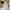 Luxury Lace Boho Off-the-Shoulder Bridal Ball Gown Sparkly Champagne Wedding Dress - Custom