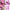 15ml (0.5 fl oz) Quick Extension Gel Nail Polish Nude Milk White Builder Hard Gel Varnish UV/LED