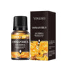 10ml (0.34 fl oz) Water-Soluble Essential Oil for Aroma Diffusers — 17 Scents (Lavender, Rose, Eucalyptus, White Peach, Oolong, Ocean)