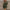 Women's Ribbed Knit Long-Sleeve Sweater Dress – Slim Fit Round Neck, Above-Knee