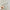 Korean Cotton Headband for Women & Girls - Solid Fashion Hairband, Casual All-Match Hoop