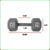 20 lb (9 kg) Hex Dumbbell - Cast Iron Rubber-Coated for Home Gym Strength Training