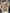 Fashion100% Merino Wool Sweater Cashmere  Pullover Women Knitwear V-Neck Long Sleeve  Autumn Winter Fashion Basic Clothing  Tops
