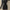 Women's Elegant V-Neck Knit Sweater Bodycon Dress - Long Sleeve Fall Winter