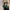 Vintage Chic PU Baguette Shoulder Bag for Women - Zipper Closure, Fixed Shoulder Strap, Spacious Underarm Handbag (Red, Green, Tan)