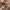 Winter Plush Makeup Bag Polka Dot - Large Capacity Travel Cosmetic Organizer & Wash Bag for Women