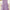Plus Size V-Neck Long Sleeve Tunic Dress – Solid Color Autumn Winter Elegant Stretch Knit for Women