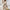 Elegant Women's 2-Piece Polyester Jumpsuit Set - Asymmetrical Hem Tee & Flare Pants, Crew Neck Knit for Spring/Fall
