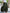 Plus Size Women's Elegant Maxi Skirt Flared Hem Non-Stretch Pants-Skirt for Office, Party & Wedding