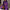 Plus Size Women's Purple PU Leather Coat with Faux Fur Collar & Lapel — Long Oversized Winter Jacket, Gold Zipper, Machine Washable