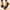Women's Flower Decor Flat Loafers Lightweight Slip-On Casual Shoes