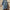 Plus Size Oversized Tassel V-Neck Knit Pullover Sweater — Elegant Handmade Fall/Winter