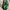 Plus Size Sleeveless Summer Dress – Gradient Print with Pockets, Asymmetrical Hem & Round Neck, Machine Washable