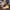 Women's Stylish Comfortable Sandals – Lightweight Cushioned Sole, Adjustable Hook-and-Loop Open Toe