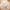 10-Pack Women's Floral Bow Headbands – Soft Polyester Colorful Hairbands for Travel, Hiking & Everyday Wear