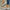 Women's One-Strap Ballet Flats - Comfortable Fabric Flats