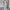 Women's Striped Sleeveless Jumpsuit - Loose Tie-Waist Pantsuit for Office, Party & Casual, All-Season