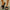 Women's Platform Slip-On Mules - Cushioned EVA Insole, Low Wedge Heel Open-Toe Slides, Breathable Fabric Upper
