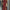 Women's Navy A-Line Maxi Shirt Dress with Chest Pocket – Button-Front Collared, Machine Washable Elegant Spring/Summer Wedding Guest & Work Dress