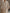 Women's Thick Longline Crewneck Sweater - Soft Loose-Fit Acrylic Blend Pullover in Neutral Tones for Fall/Winter, Office & Casual