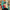 Plus Size Heavyweight Floral Crewneck Sweater — Thick Oversized Winter Pullover (Multi-Color)