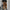 Plus Size A-Line Striped Long Sleeve Dress with Pockets – Brown & Black Crew Neck, Fitted Waist, Machine Washable Fall/Winter Office Semi-Formal