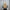 Women's Cable Knit Sweater Scarf – Soft Warm Winter Shawl Neck Wrap, Solid Colors (Green, Beige, Black, Red) — Hand Wash/Dry Clean